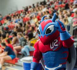 buzzy at pep rally